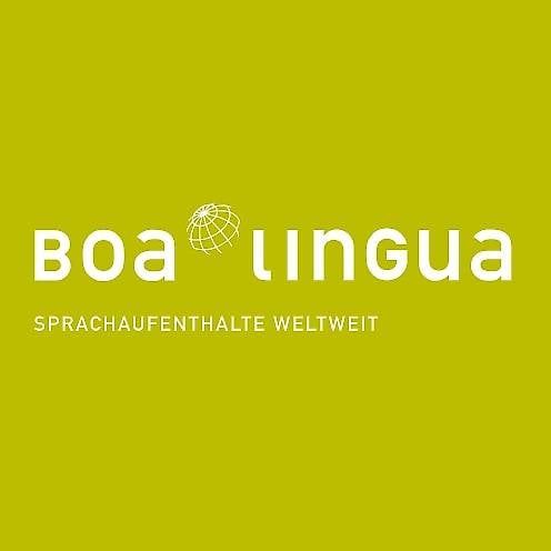 Gutscheine: Boa Lingua Gutschein – Neu (gemäss Beschreibung) aus Bronschhofen von chup19