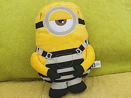GEFÄNGNISAUSBRUCH! Minion-Knacki sucht Komplizen