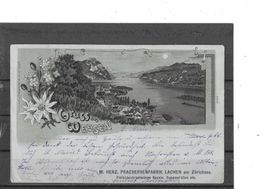 SG Gruss aus Weesen 1900 (Litho) Werbung Praeservenfabrik