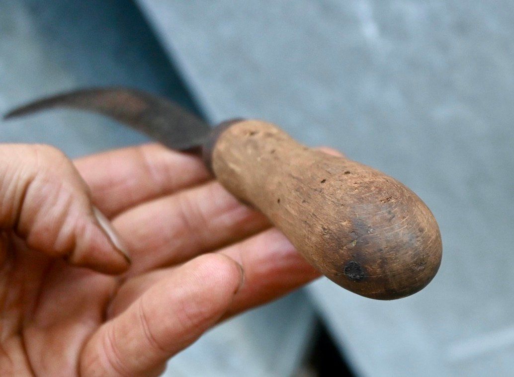 Tutti gli attrezzi: ANTIKE Handsichel Länge ca. 22cm – Usato da Pfaffhausen venduto da mono_rec 7