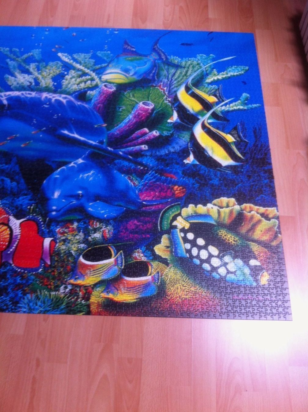 Clementoni Puzzle: Clementoni Puzzle – Usato da Widnau venduto da stiinli 2