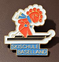 Q243 - Pin Skischule Baselland