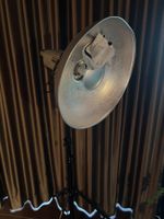 Studioblitz, Stativ und Beauty Dish