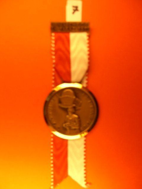 Medaglie: Medaille - II. Marche de la Faraz 1971 – Usato da Glis venduto da Gliserhorn