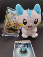 🇨🇳 CN Pachirisu - Pokémon Plüschtier + Karte