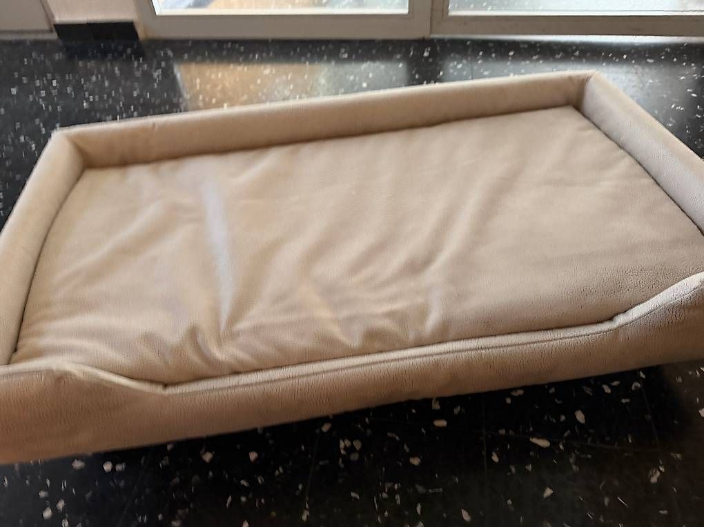 Divani: Canapé pour chat/chien Poltronesofà  – Usato da Veyrier venduto da jea_q6m8 3