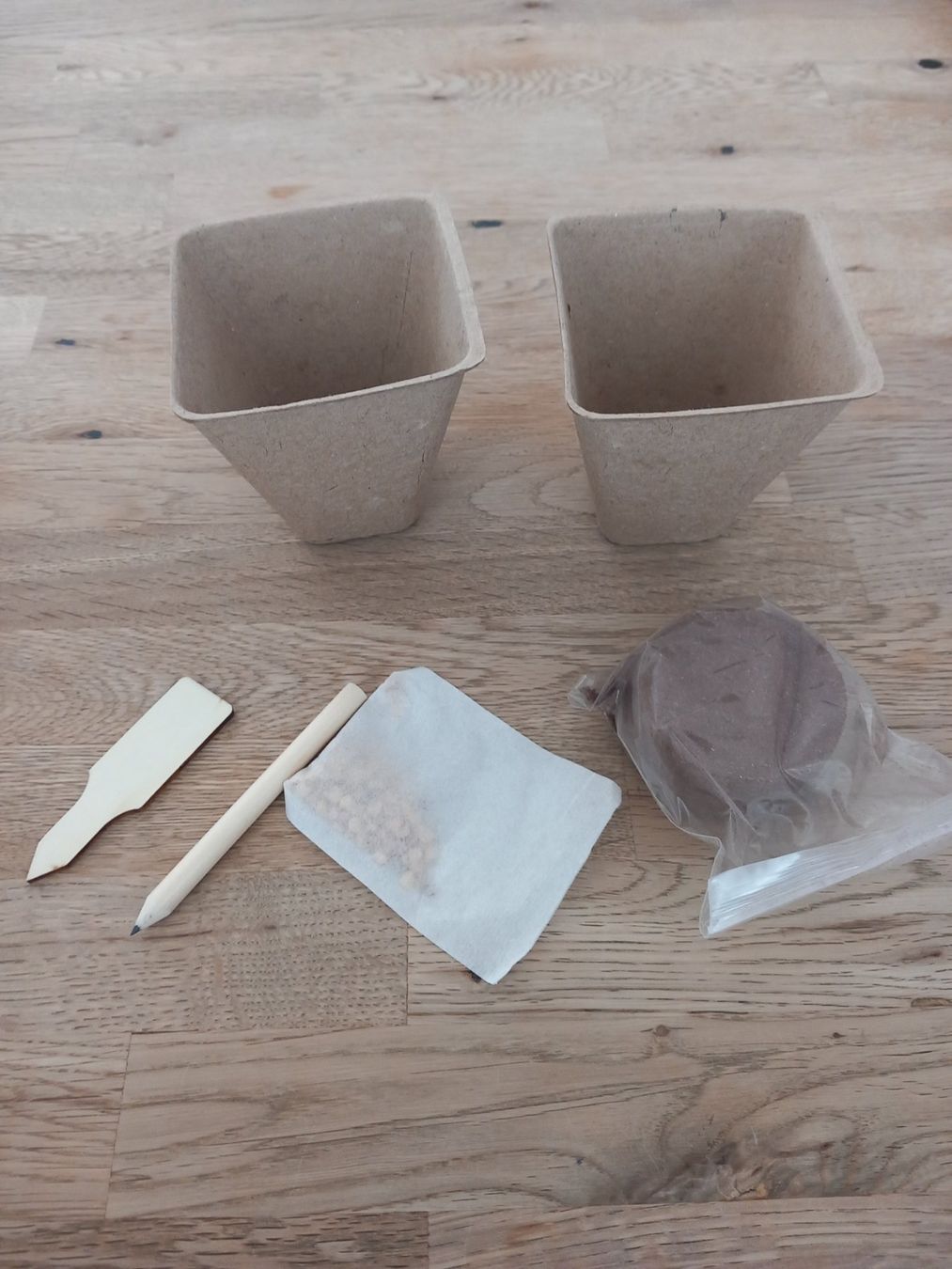 Piante & sementi: Pflanzen Samen Kaffee  TOLLE GESCHENKIDEE – Nuovo e nell'imballaggio originale da Thun venduto da Beas-Allerlei 1