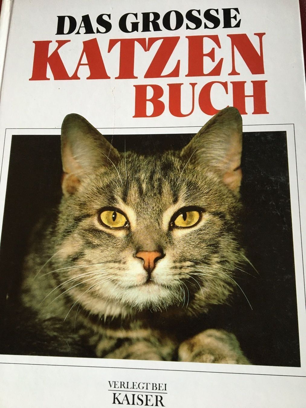 Bücher: Das grosse Katzenbuch – Gebraucht aus Arth von Vrecam51