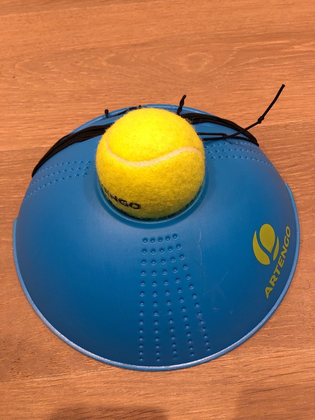 Palloni: Tennis Training Ball – Usato da Uitikon Waldegg venduto da sch_68vz 1