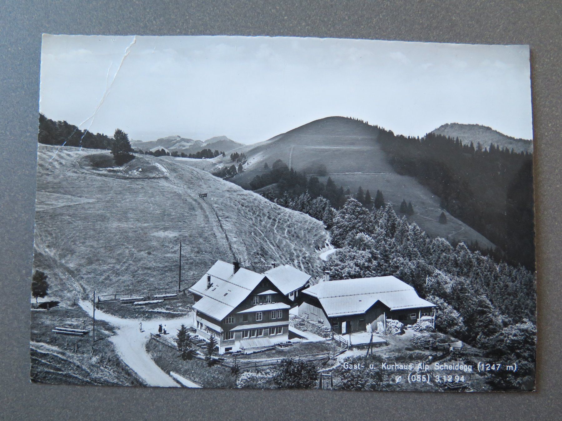 Cartoline postali: WALD - GAST- U. KURHAUS ALP SCHEIDEGG – Usato da Wittenbach venduto da lipasal