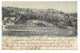 Trogen (AR) 4 Bauernhäuser mit Dorf im Hintergrund - 1914