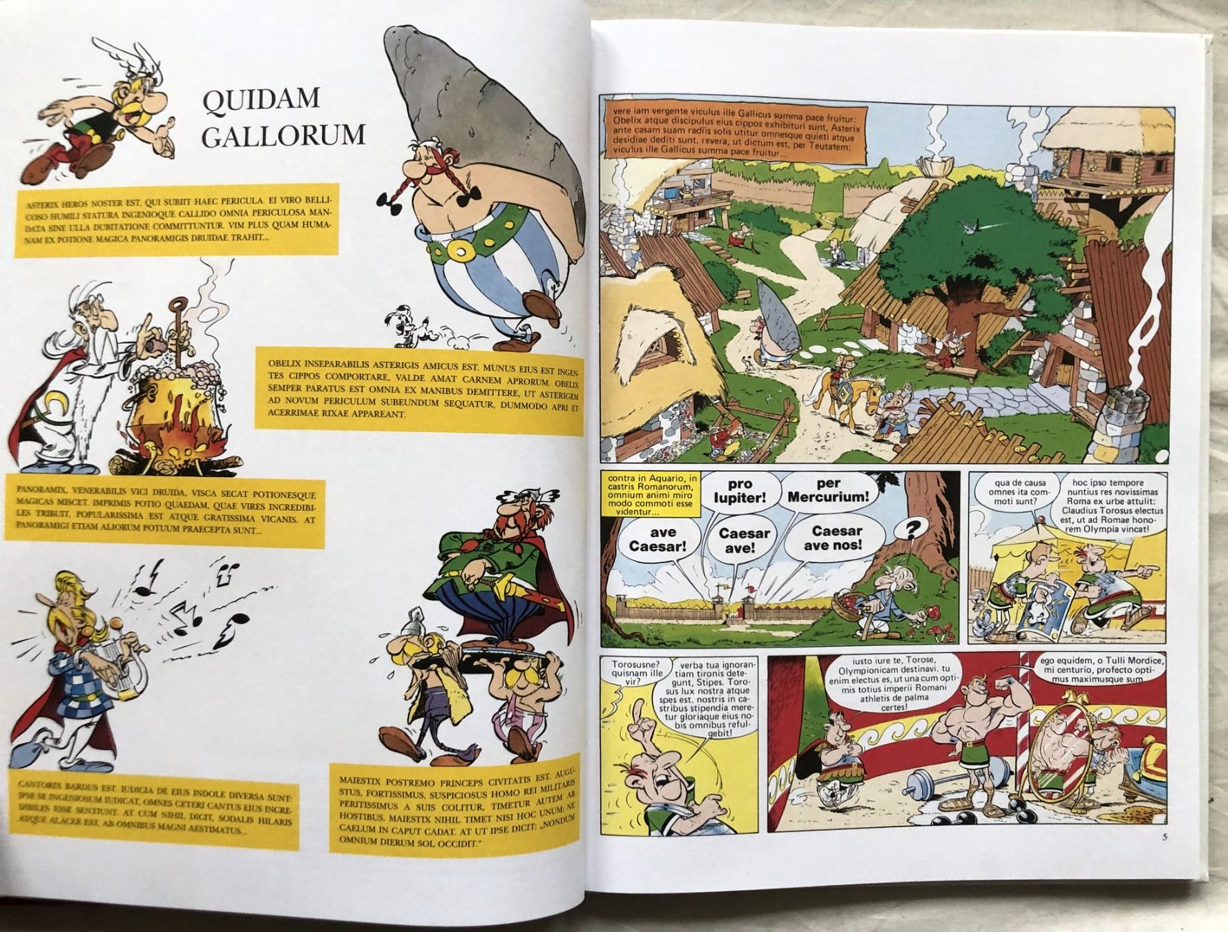 Fumetti: ASTERIX - Latein - Band 5 - ASTERIX OLYMPIUS - Hardcover – Usato da Schaffhausen venduto da durruti 3