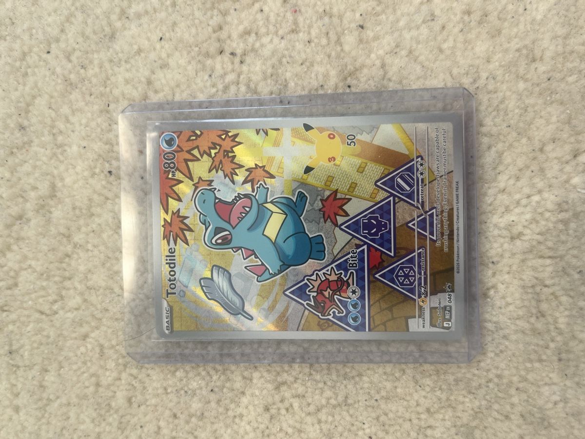 Pokémon Carte collezionabili: Pokemon First Partner Serie 2 Gen 2 – Nuovo (secondo la descrizione) da Lausanne venduto da NathanJeckelmann 6