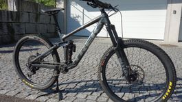 Trek Remedy