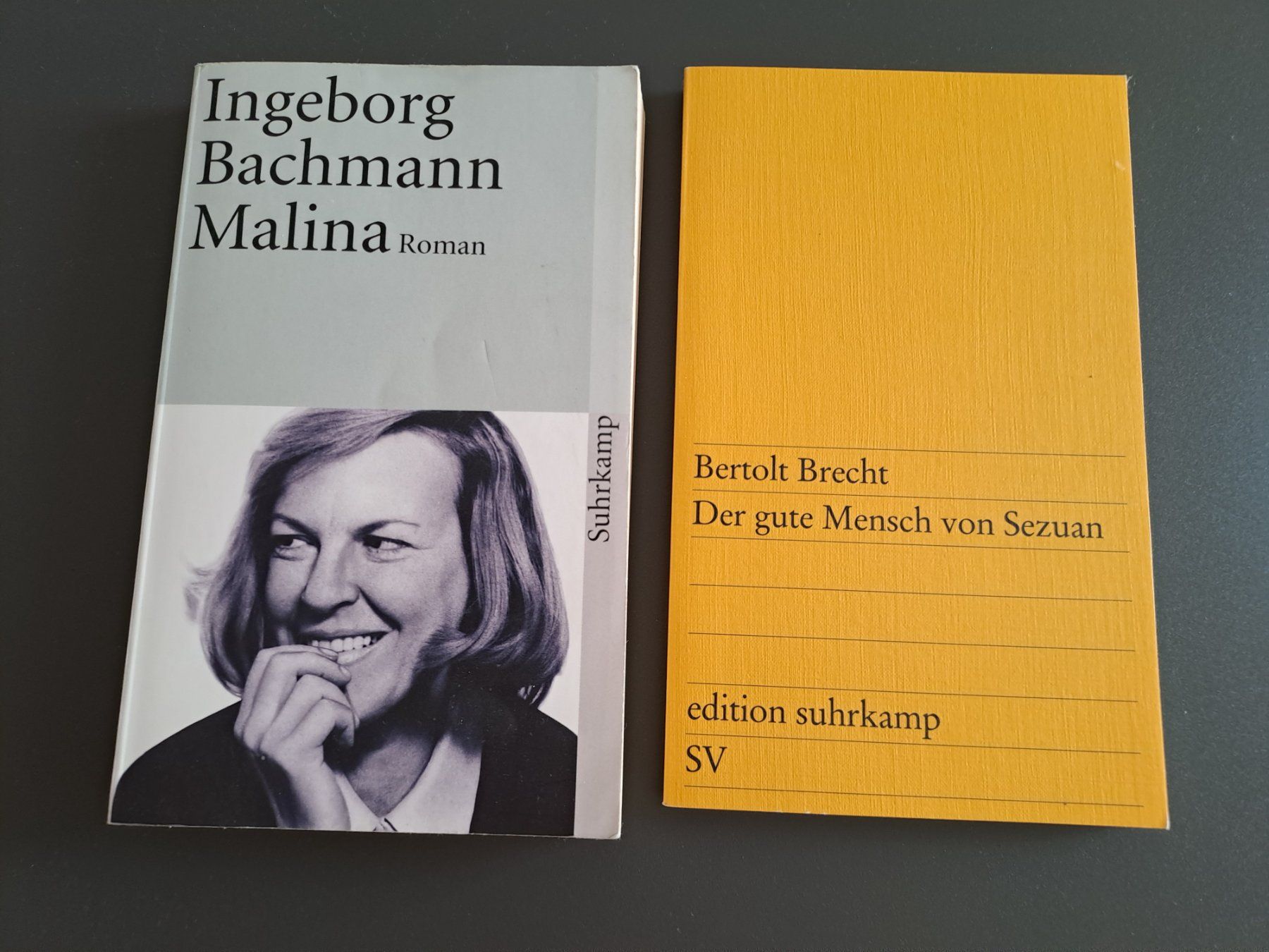 Libri: Ingeborg Bachmann, B.Brecht – Usato da Richterswil venduto da summa11