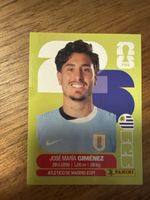 Panini Fifa URU 5