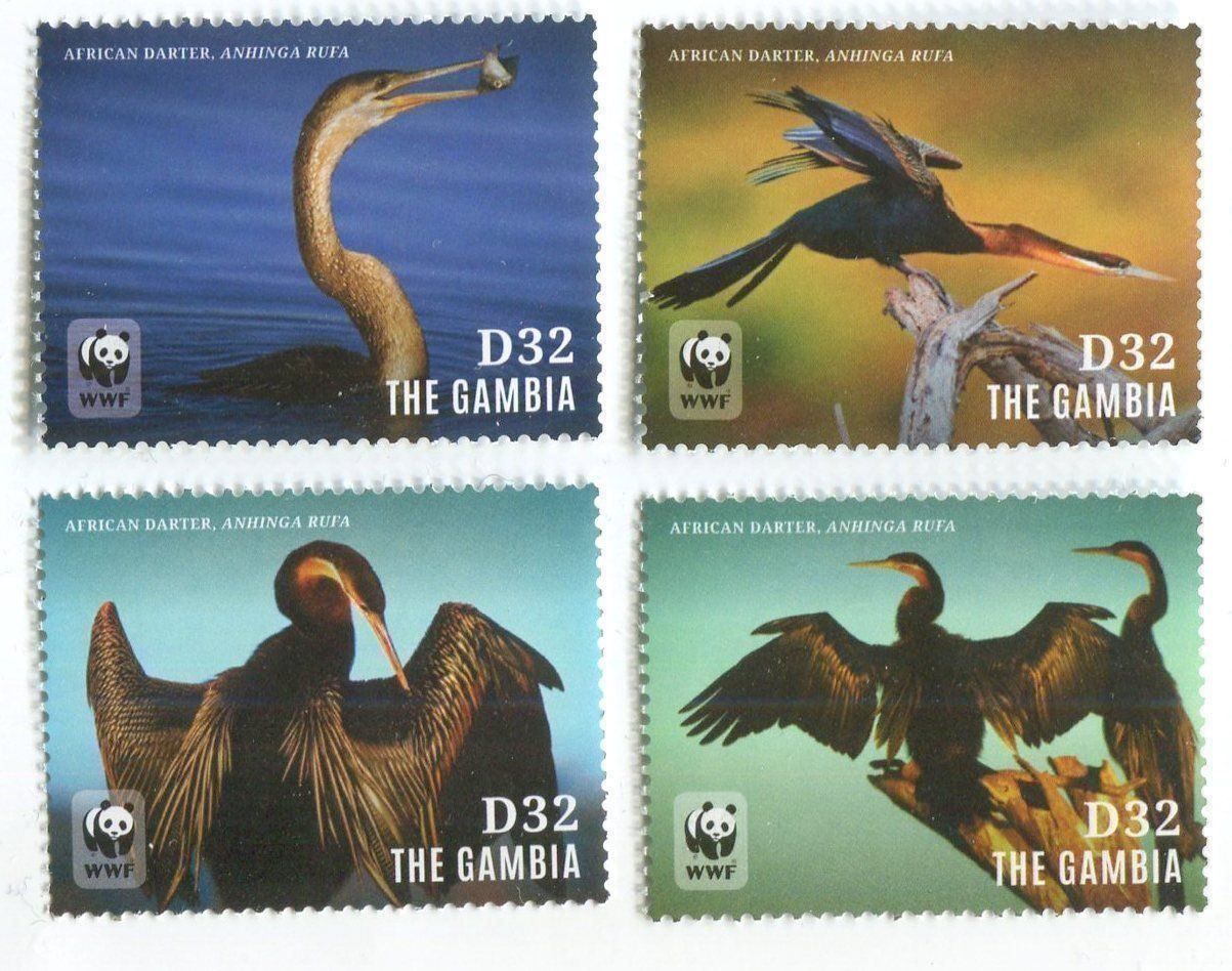 Tutti i francobolli: Briefmarken "Kormoran". Gambia. – Nuovo e nell'imballaggio originale da Basel venduto da Butsch5