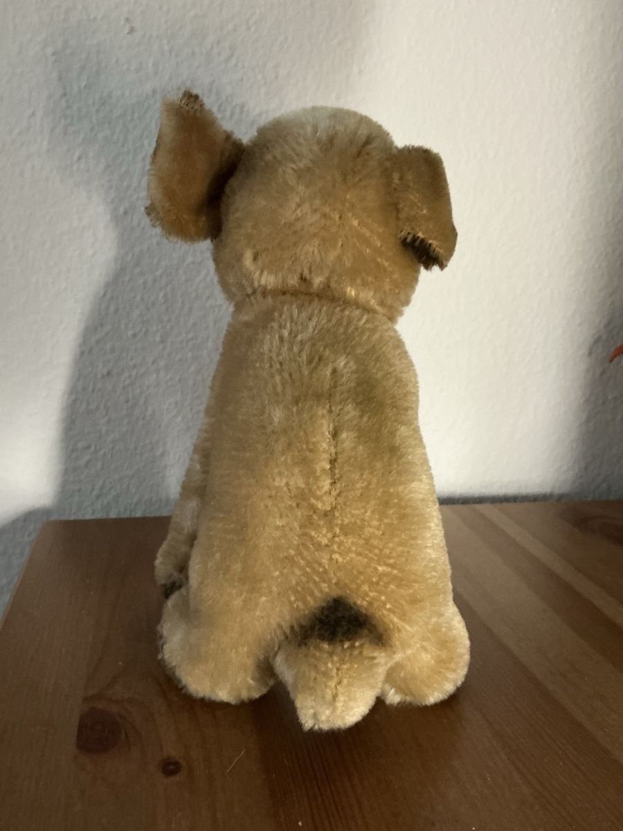 Steiff Giocattoli: Steiff Mopsy Nr.3322 – Usato da Basel venduto da S.Wehrli72 2