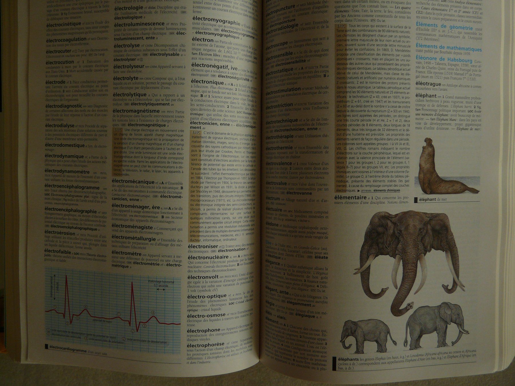 Libri: Dictionnaire Hachette 2011 – Usato da ERLINSBACH venduto da doudouce 2