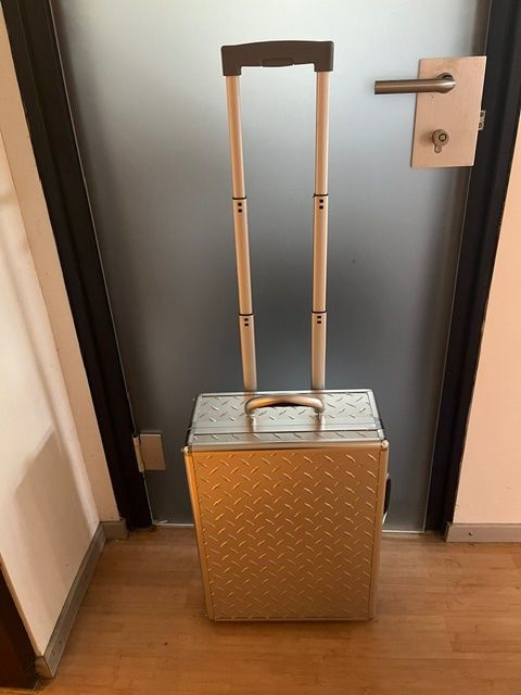 Valigie: Werkzeugkoffer Wisent - leer – Usato da Zollikofen venduto da pico27