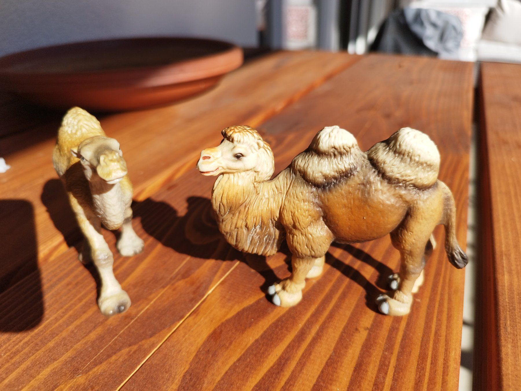 Schleich Spielzeuge: Schleich Tiere – Gebraucht aus Krauchthal von AnnalenaS01 1