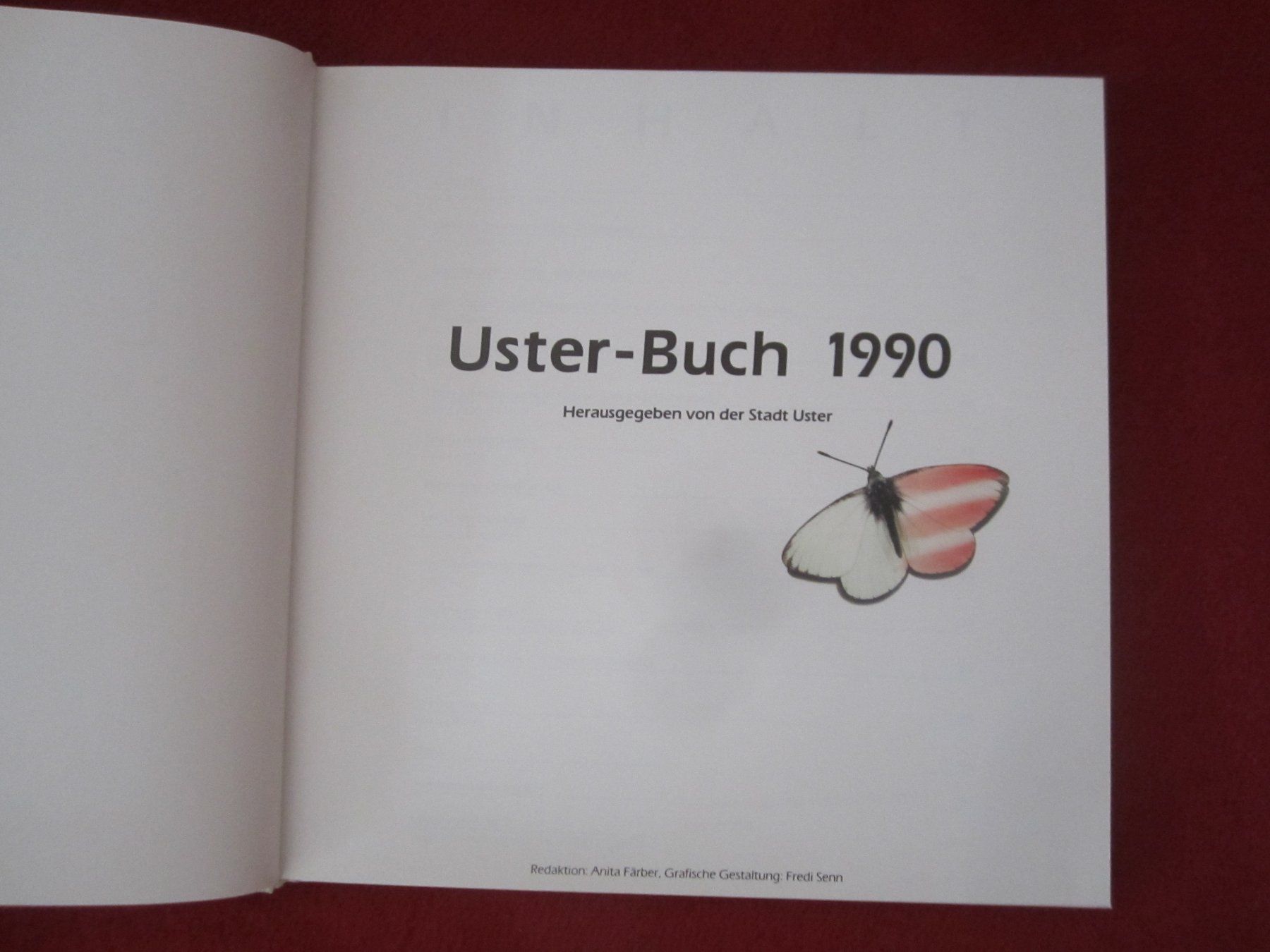Libri: Grüsse aus Uster(Kt.ZH) 1990(PORTRAIT EINER GEMEINDE!!!) – Usato da Volketswil venduto da nemo2000 1
