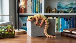 Beweglicher Gecko, gelb/orange