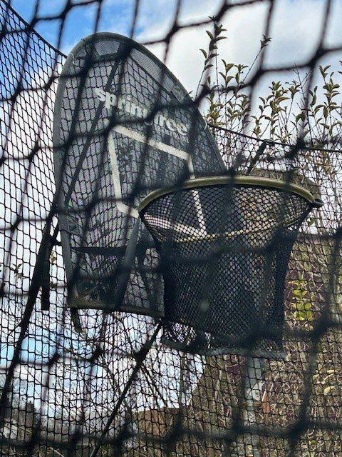 Trampolini: Trampolin Superfun / 4.2 Meter Durchmesser – Usato da Weiach venduto da Wikingnoldi 1