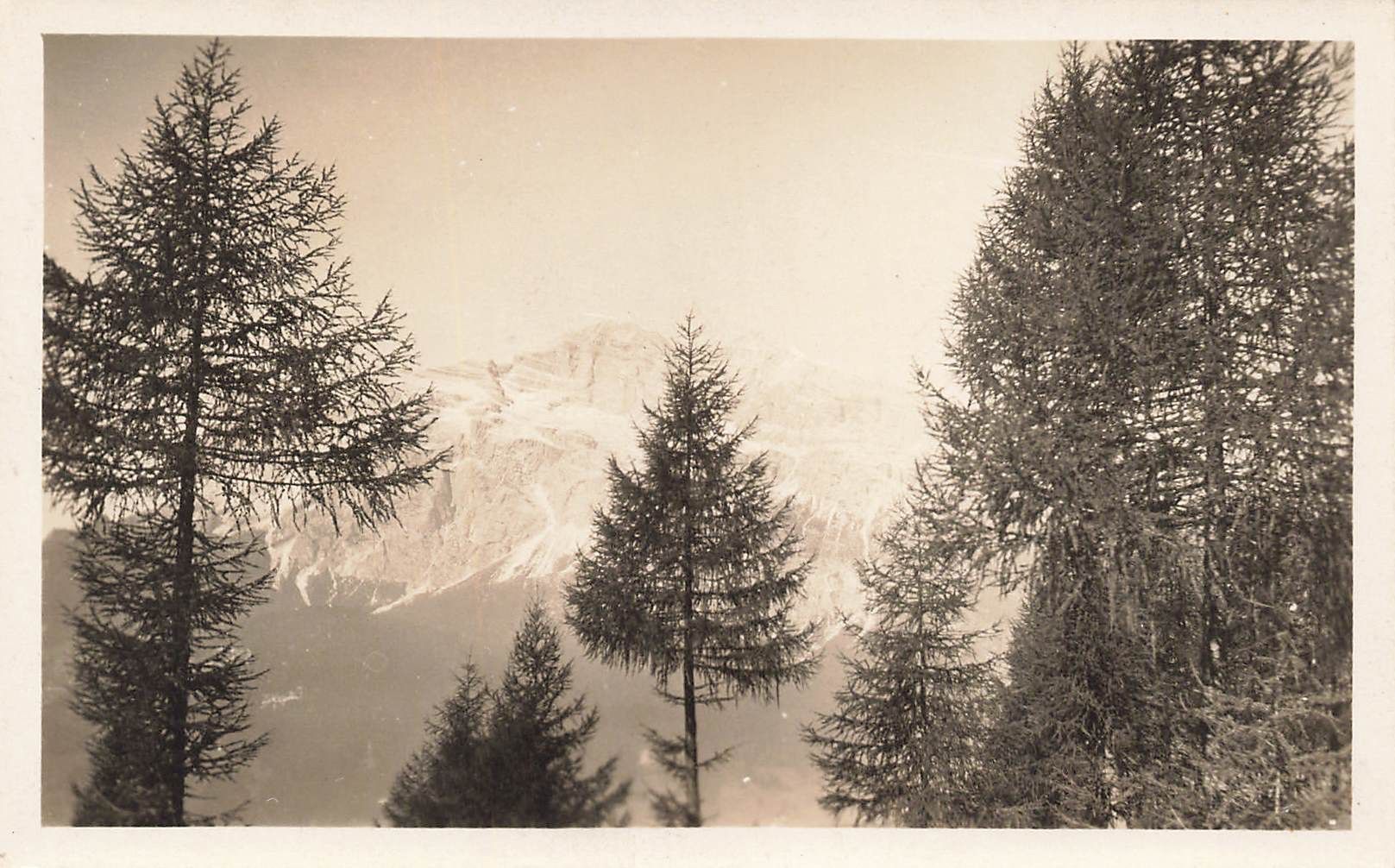 Cartes postales: Alpi CH – D'occasion à Biasca par Blenio71
