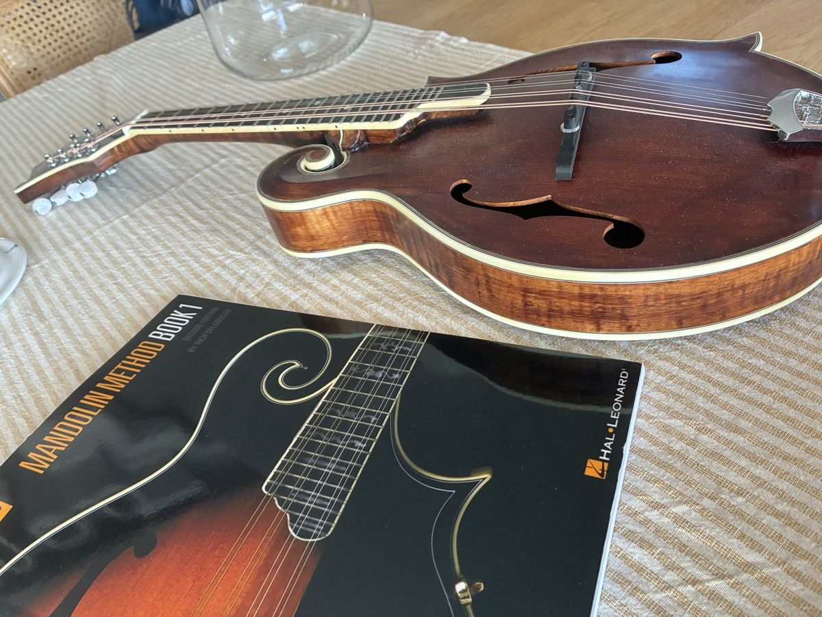 Strumenti musicali: F-Style Mandoline, Richwood, Vollmassiv – Usato da Winterthur venduto da Gerrardo 1
