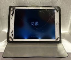 Apple iPad
