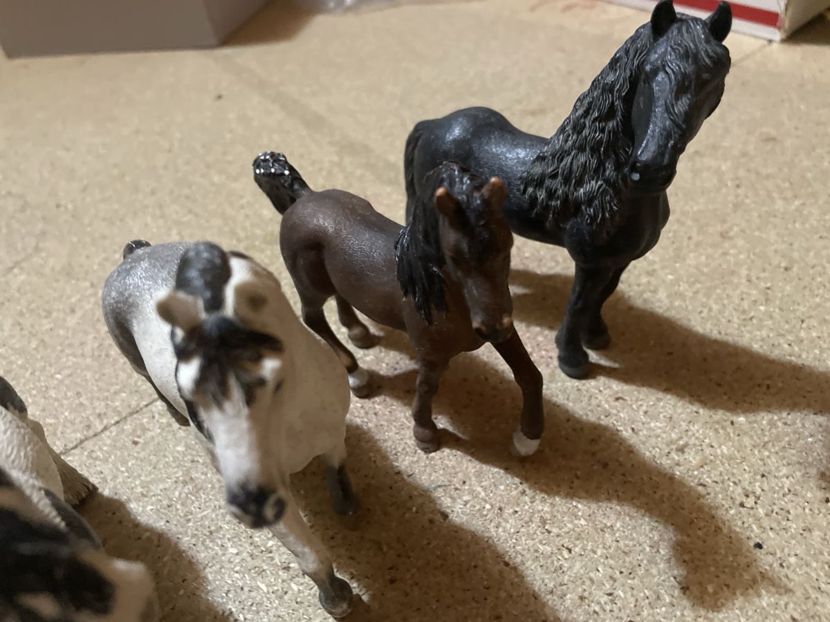 Schleich Spielzeuge: Schleichtier Set  – Gebraucht aus Niederhasli von nic_65cm 2