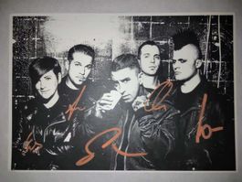 BROILERS AUTOGRAMM ** ORIGINAL ** GROSSFORMAT ** TOTEN HOSEN