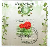 Block "Pfingstrosen". Mosambik.