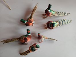 neu: 6 Deko Fasane, Deko, Vintage, Dekovögel