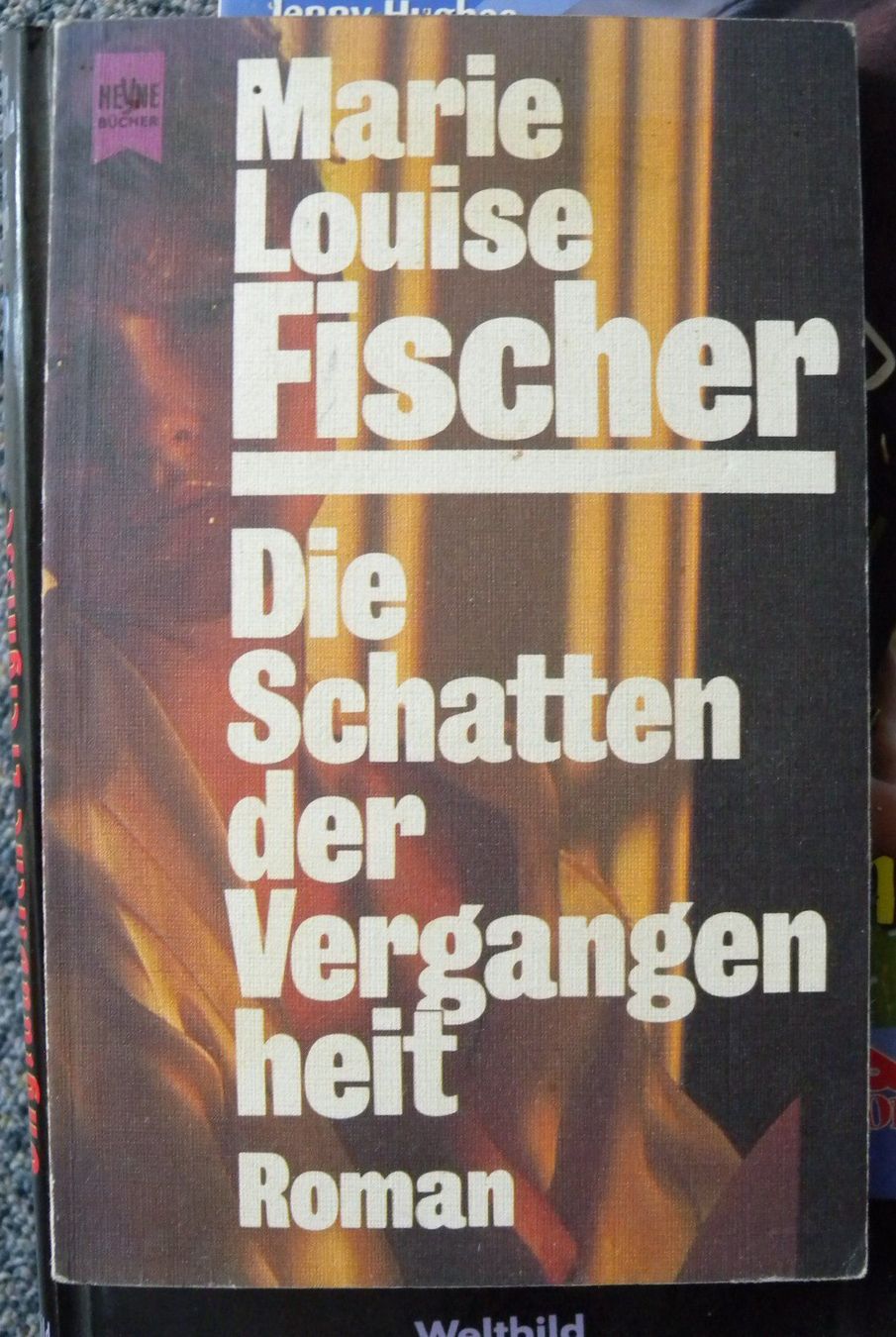 Bücher: im schatten der vergangenheit – Gebraucht aus Hauenstein von Danbach