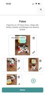 Dalmatiner Figur mit Box guter Zustand