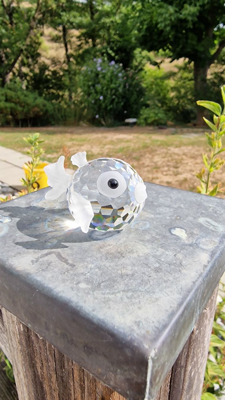 Swarovski Statuette: Swarovski grosser Fisch – Usato da Wil  AG venduto da Kfloh