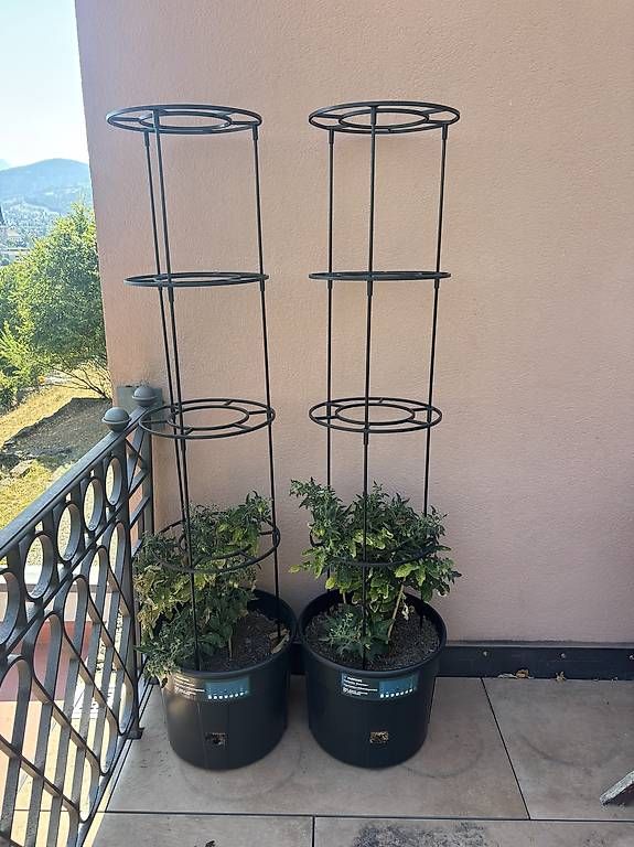 Vasi per fiori: Tomatentöpfe – Usato da Rebstein venduto da fabio.litscher