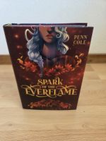 Buch Spark of the Everflame Penn Cole neuwertig