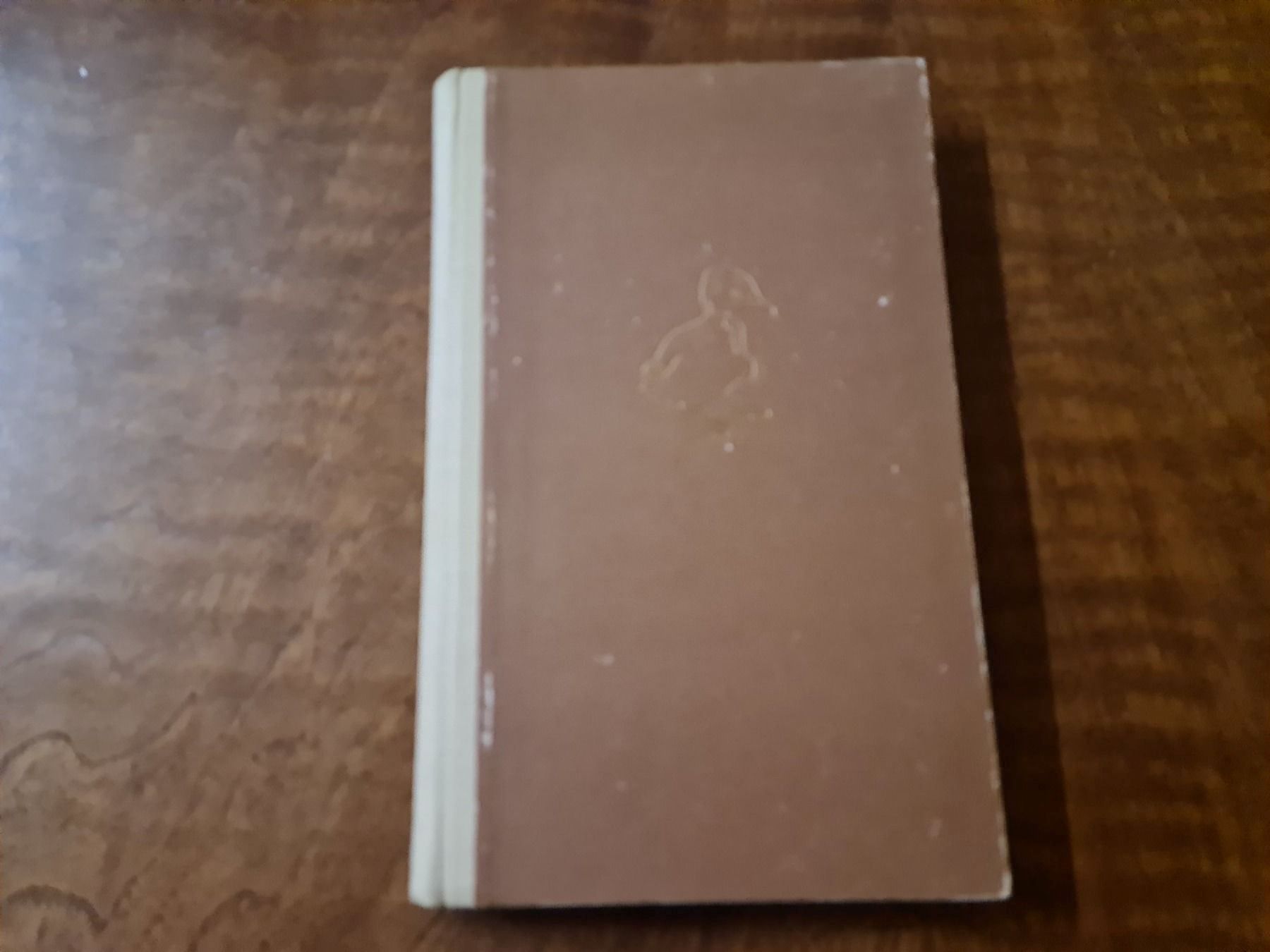 Libri: Tiergeschichten – Usato da Erstfeld venduto da Mario_boe0