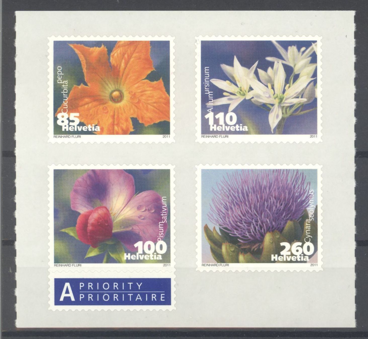 Alle Briefmarken: 2011, Dauermarken Gemüseblüten ** – Gebraucht aus Willisau von Vollstempel