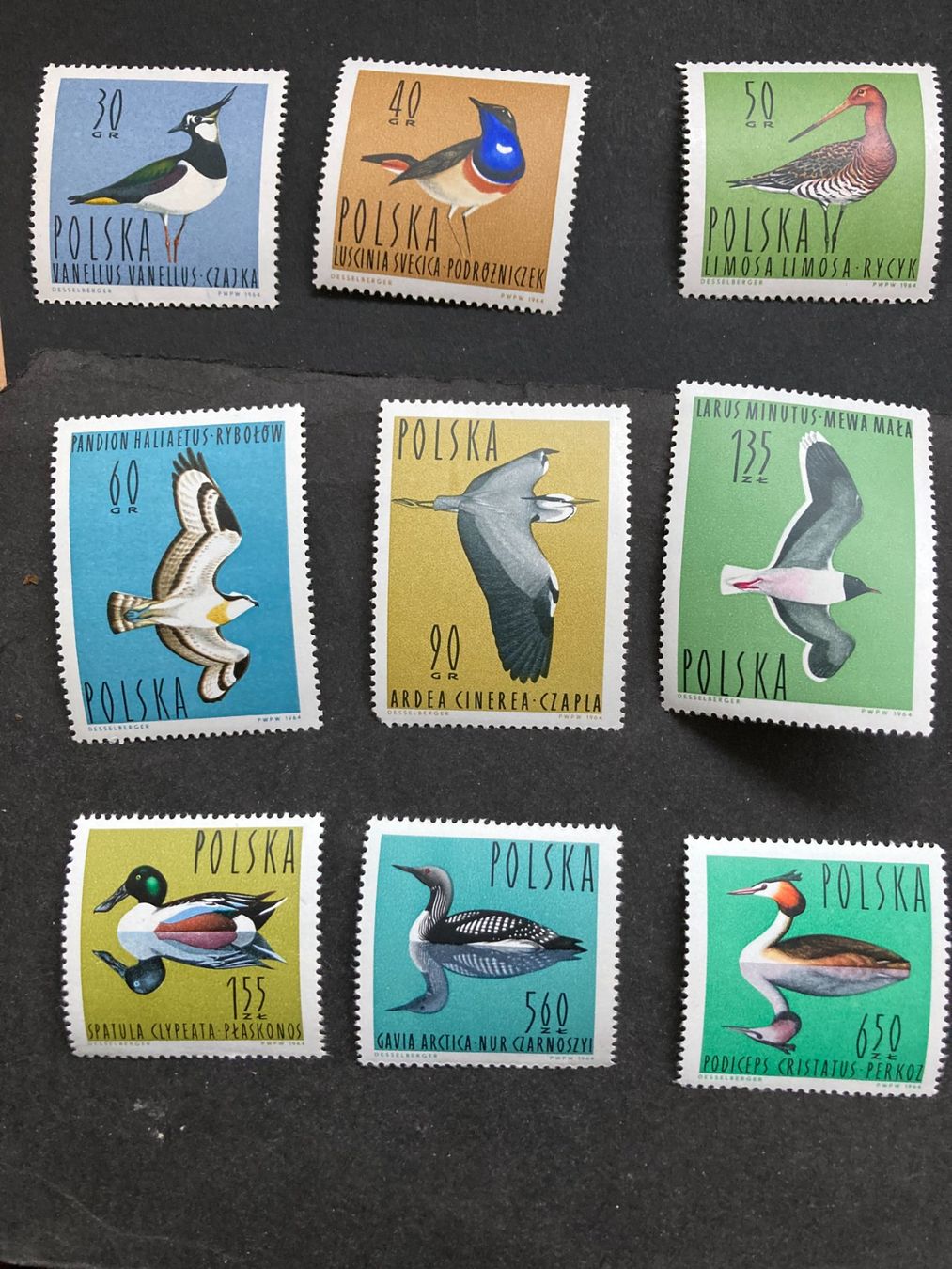 Tutti i francobolli: Polen 1964 Satz Vögel postfrisch – Nuovo (secondo la descrizione) da Liestal venduto da schnueps