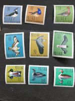 Polen 1964 Satz Vögel postfrisch