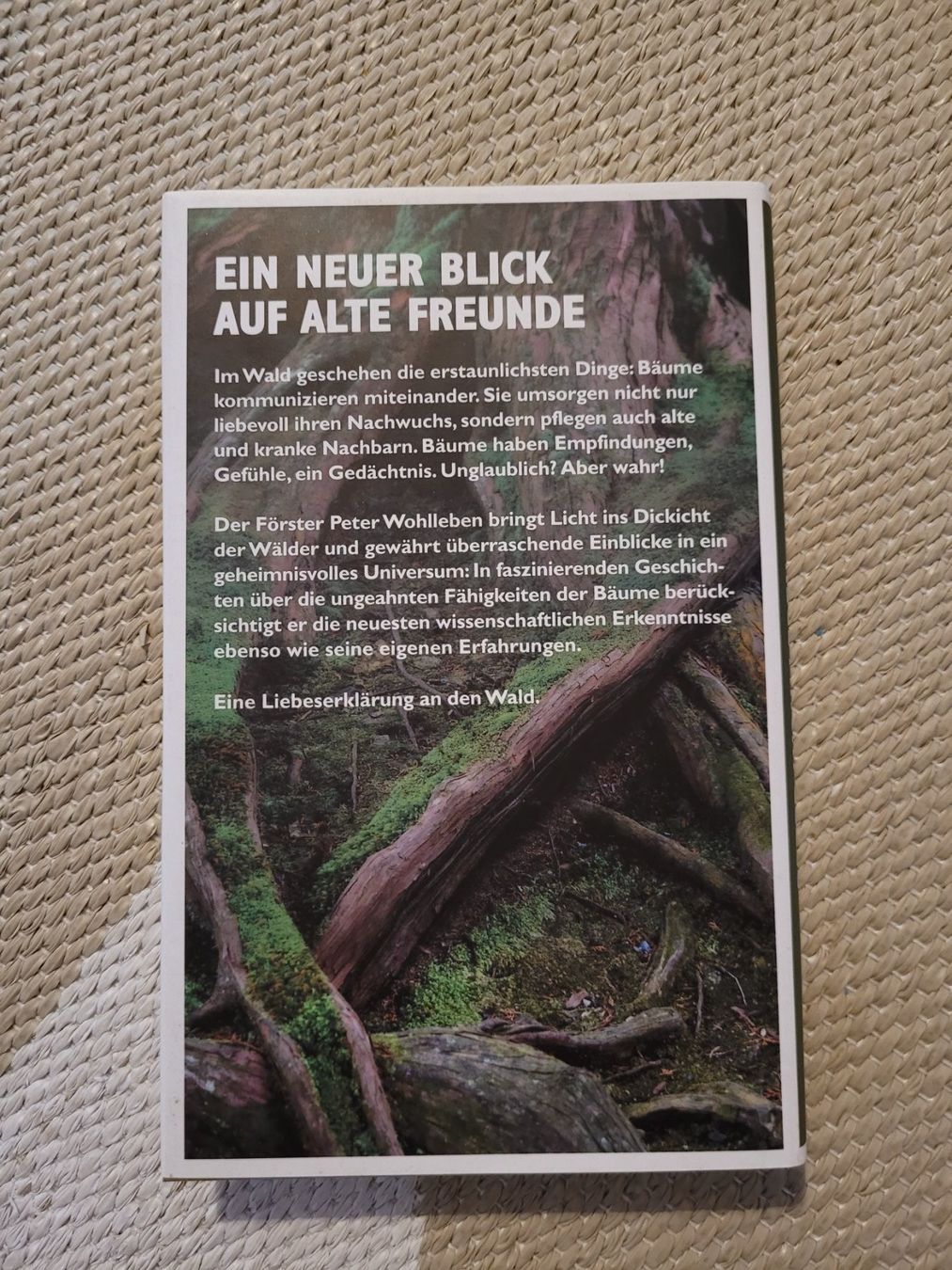Bücher: Das geheime Leben der Bäume – Gebraucht aus Inwil von  1