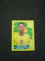 Panini Vinicius Junior