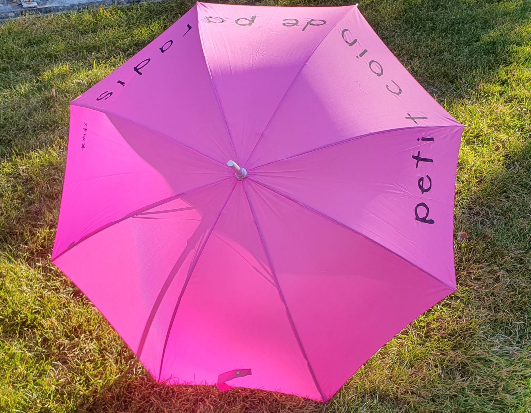 Ombrelli: parapluie – Nuovo (secondo la descrizione) da Sion venduto da bene123 1