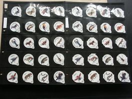 Serie    7312        Tierbilder      AZM  Gastro + AZM  Steg