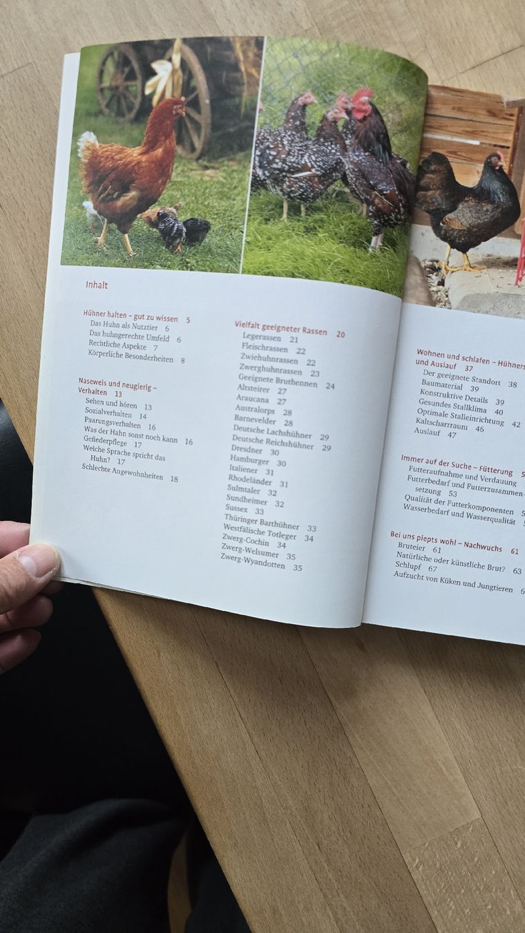 Bücher: Hühner in meinem Garten – Neu (gemäss Beschreibung) aus Rüthi (Rheintal) von Sinhue 1