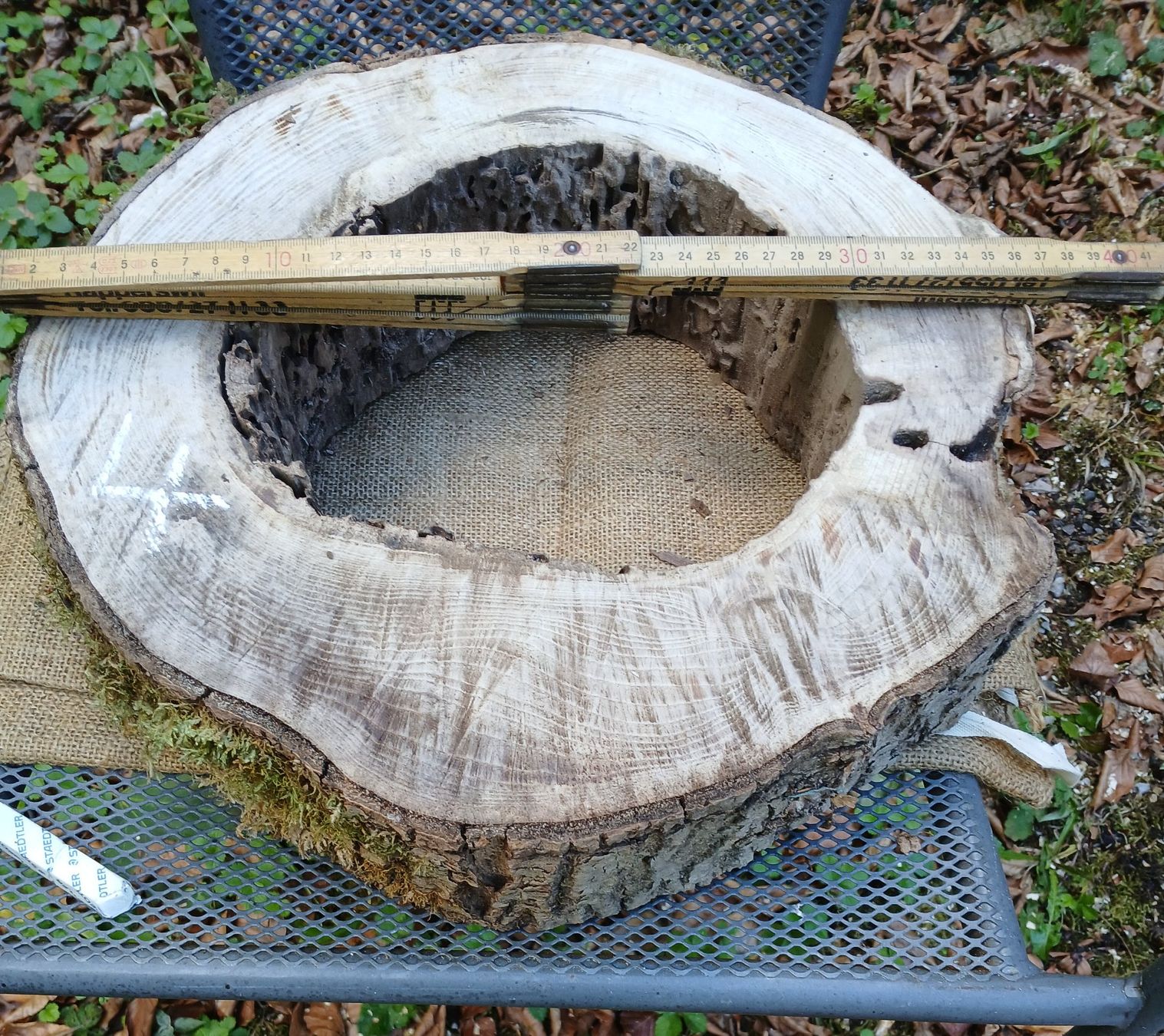 Holzartikel: Baumscheibe Natur hohl, roh >  B4 – Gebraucht aus Bilten von Archiv55